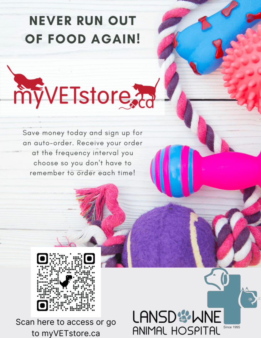 Scan here to access or go to myVETstore.ca