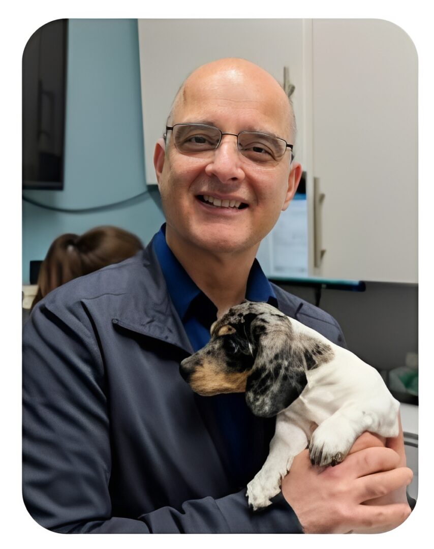Smiling man holding a dachshund puppy