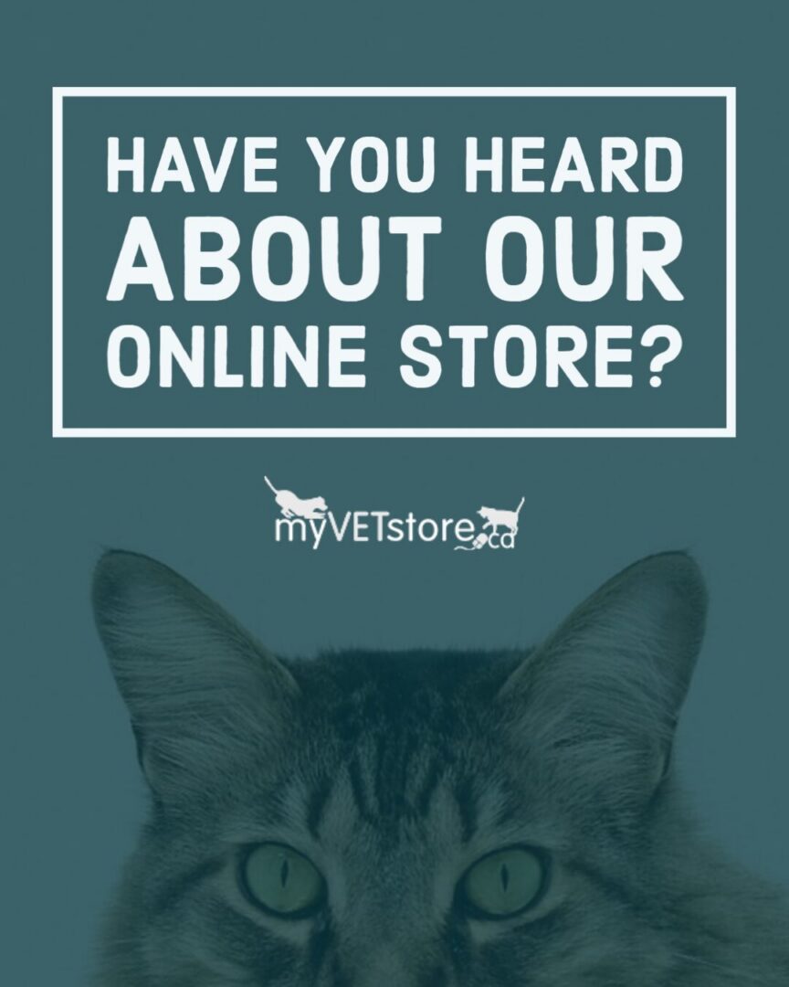 Cat1_Oct202020_141937-20260904092342